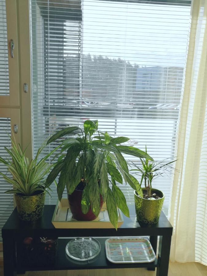 The Wildflower Apartment Turku Kültér fotó